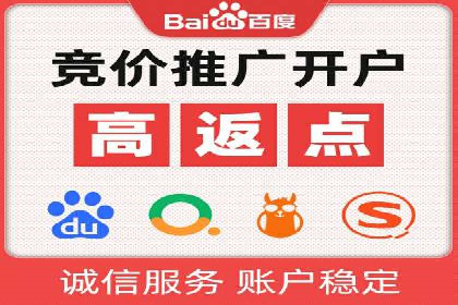SEM代运营案例分析：精准投放策略解析
